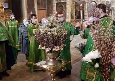 Вход Господень в Иерусалим. Фото и видео отчет