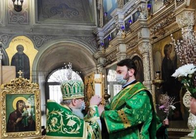 Вход Господень в Иерусалим. Фото и видео отчет