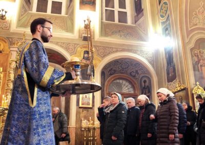 Введение во храм Пресвятой Владычицы нашей Богородицы и Приснодевы Марии. Фото