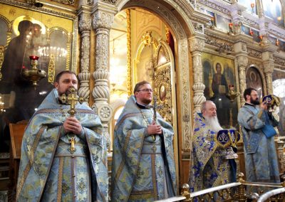 Введение во храм Пресвятой Владычицы нашей Богородицы и Приснодевы Марии. Фото