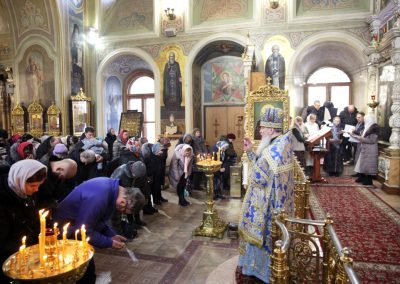 Введение во храм Пресвятой Владычицы нашей Богородицы и Приснодевы Марии. Фото